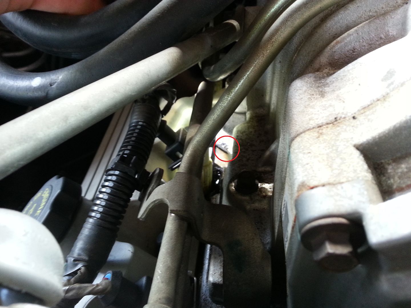 L67 manifold gasket oil and air leak Just Commodores